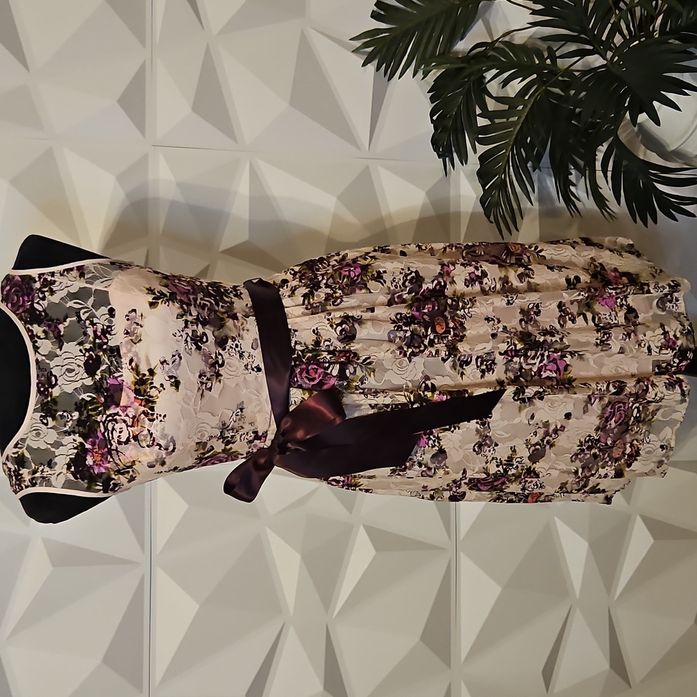 New Adrianna Papell Pink Floral Overlay Dress